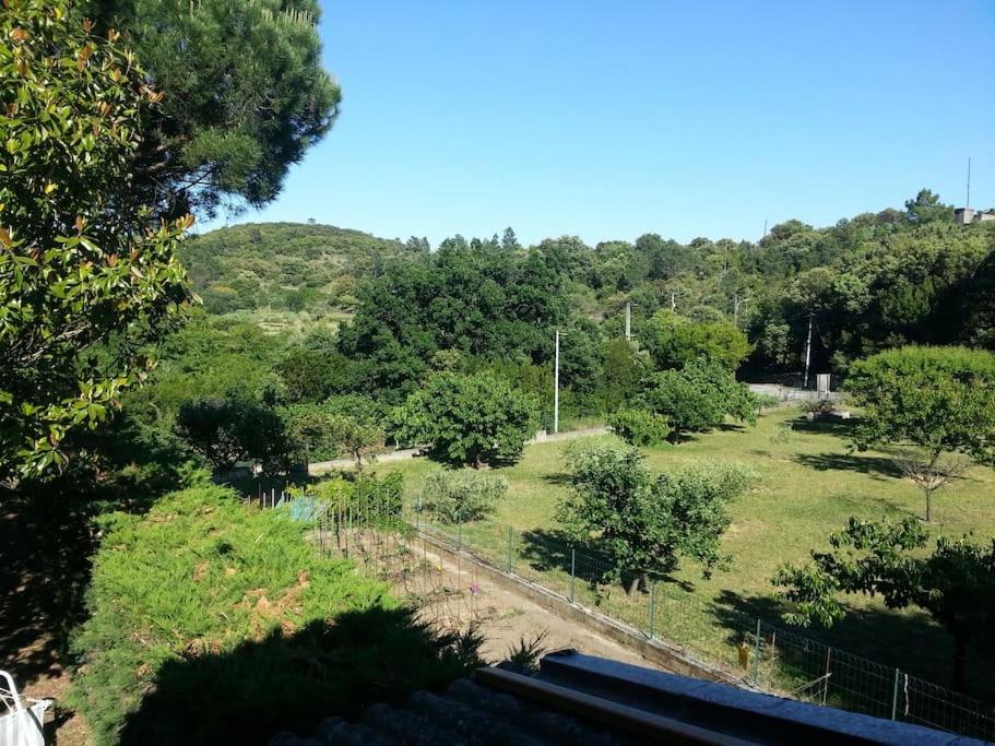 Appartement Au Fond Du Jardin Saint Jean du Pin Kültér fotó